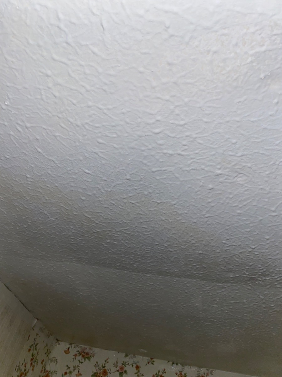 Painter and Decorator: Image 7